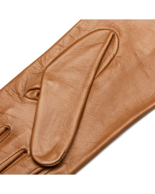 1861 Glove Manufactory Brown Ravello