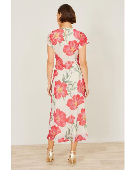 Yumi' Red Neutrals Ivory Poppy Print Midi Mesh Dress