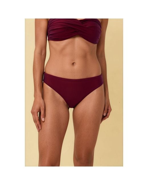Gezzina Purple Ember Bikini Brief