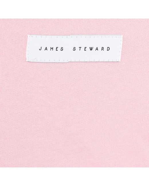 James Steward Pink Embroidered Bee Oversized Sweatshirt