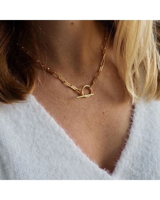 Coco & Kinney Metallic Long Robin Chain In Gold