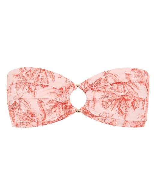 Soleil State Pink Jungle Muse