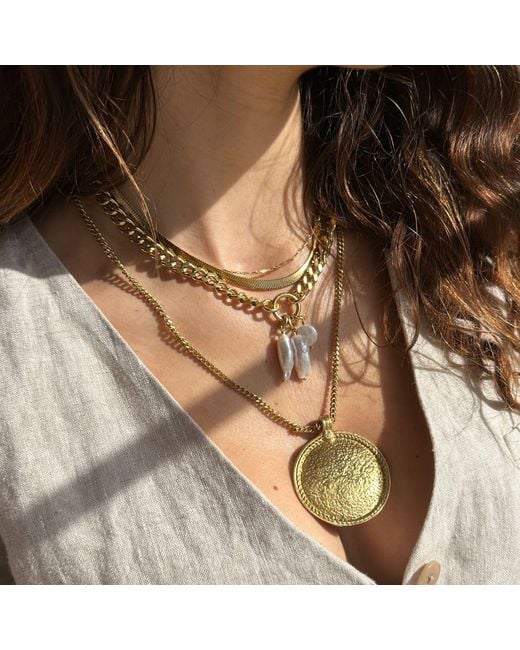 Rachel Nathan Metallic Shield Necklace