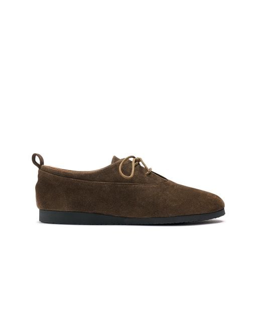 Naguisa Brown Oxford
