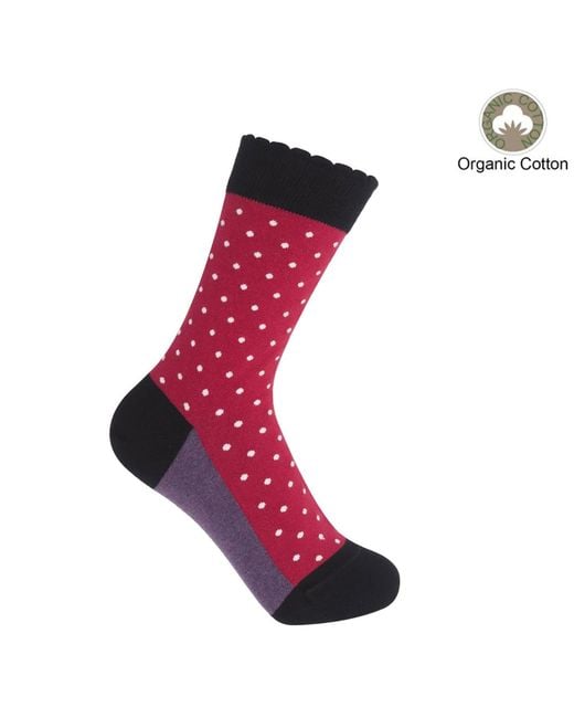 Peper Harow - Made in England Pink Organic Pin Polka Socks Bundle