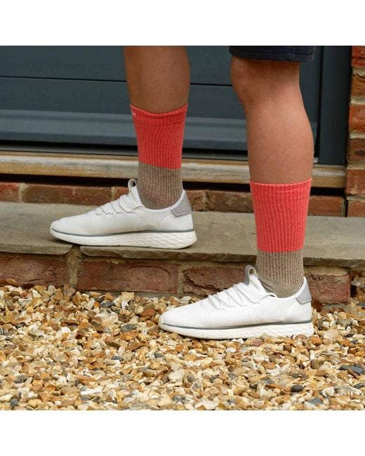 Peper Harow - Made in England Blue Recycled Sport Socks – Bundle for men