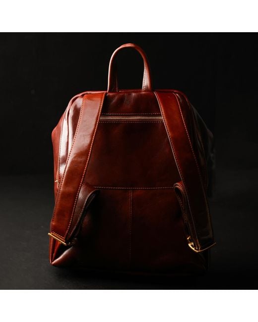 Time Resistance Brown Leather Backpack
