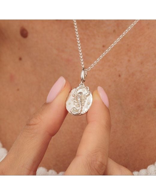 Lily Charmed Metallic Sterling Scorpio Zodiac Charm Necklace