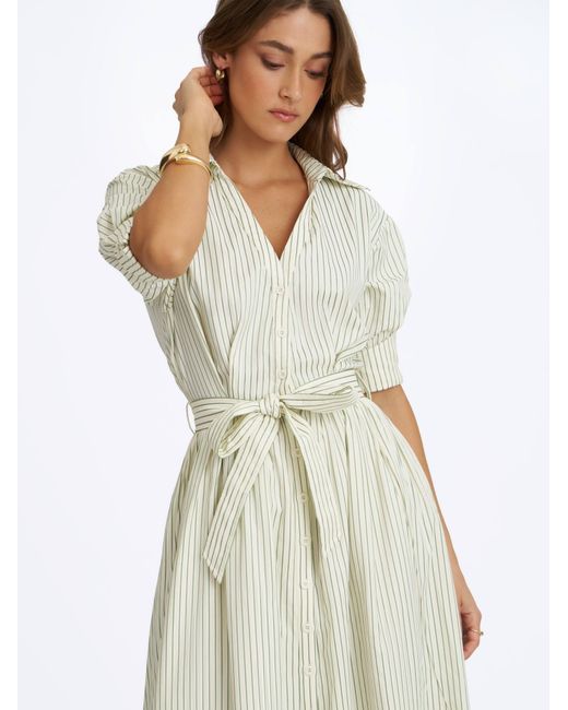 Miss Circle New York Gray Danica Pine Bamboo Poplin Striped Shirt Midi Dress