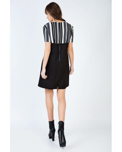 Conquista Black Stripe Detail A Line Dress