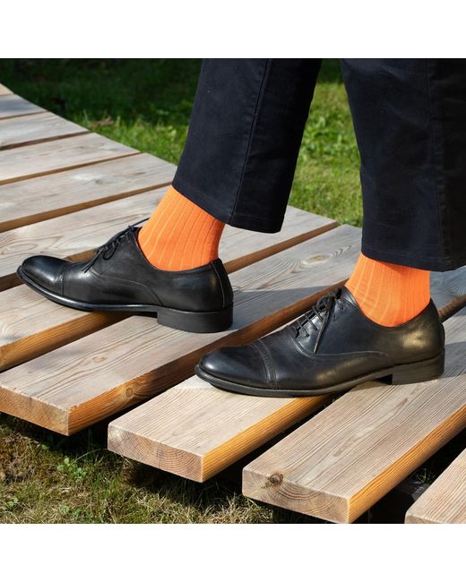 Peper Harow - Made in England Pink Three Pack Essential Socks for men