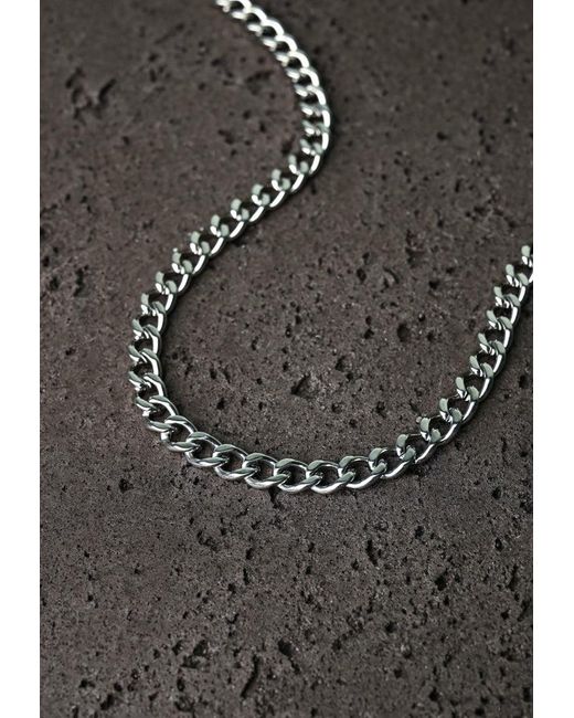 Starfish Project Metallic Linked Curb Chain