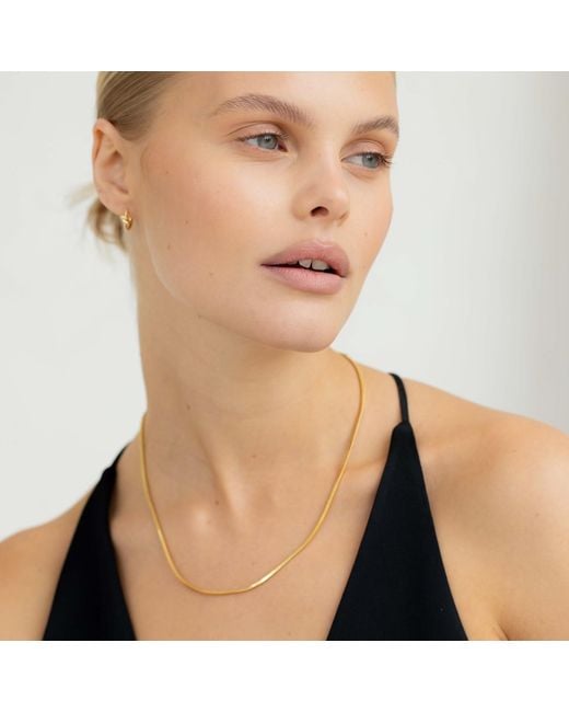 Arctic Fox & Co. Metallic The Box Chain Necklace
