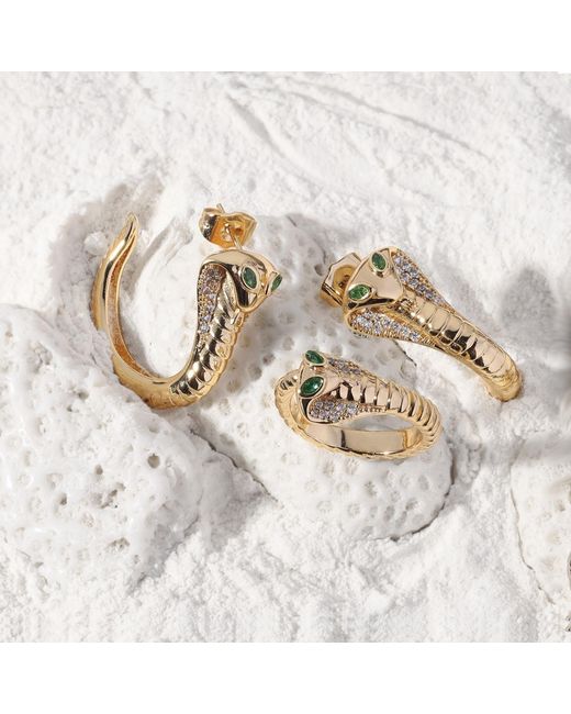 Glamrocks Jewelry Metallic Cobra Coil Hoops
