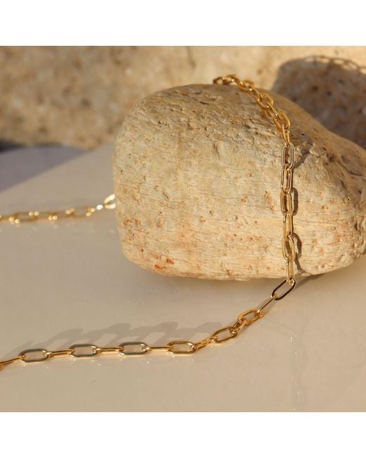 FV Jewellery Metallic Steel Me Paperclip Chain
