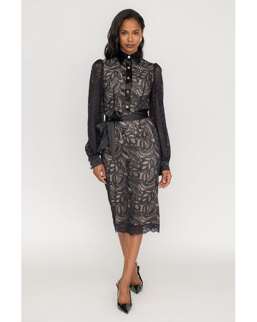 Zetaye Black Lyric Lace Shirt Dress