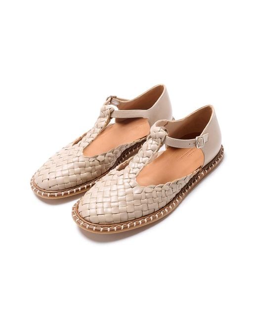 Naguisa Brown Neutrals Fragaria Taupe