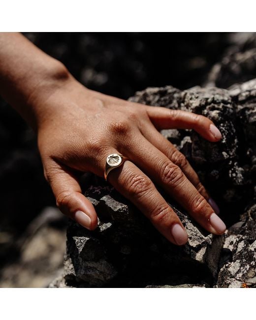 Zoe & Morgan Metallic Secret Society Of Shell Lovers Signet