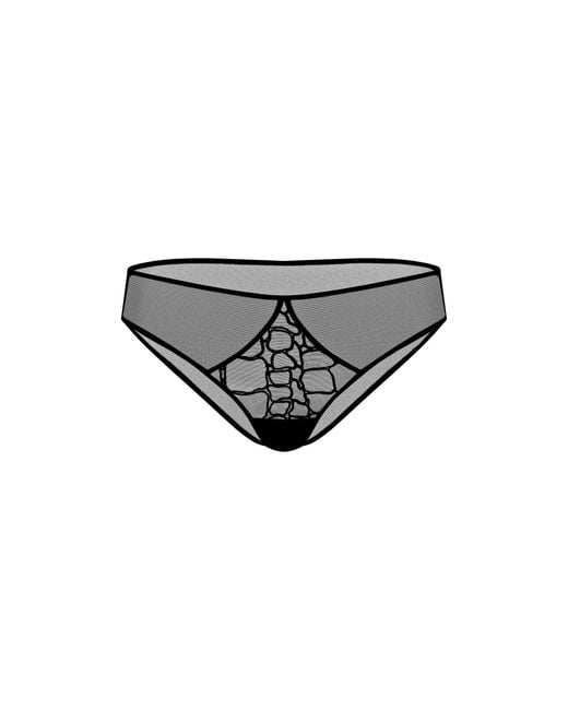 Zhilyova Gray Alligator Brief
