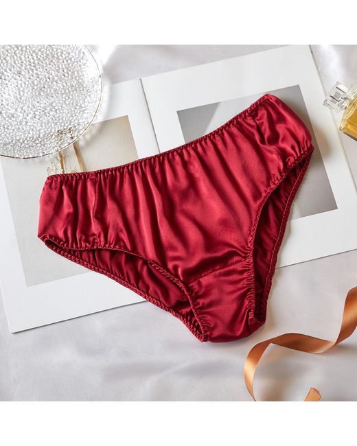 Soft Strokes Silk Red Set Of Two Pure Mulberry Silk Bikini Pantie