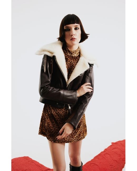 Pcfg Black Double Collar Leather Jacket