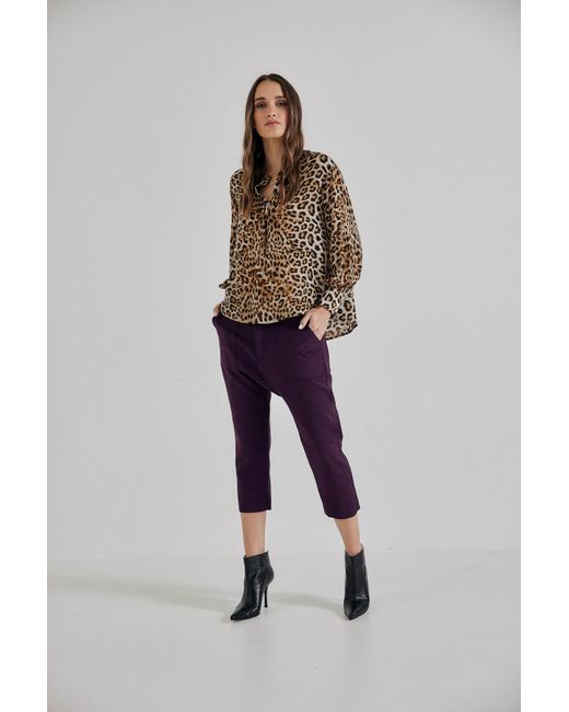 Lindsay Nicholas New York Purple Maverick Drop Crotch Pant