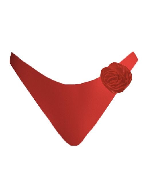Blackbough Swim Red Moriah Cheeky Bottoms Hot Gloss