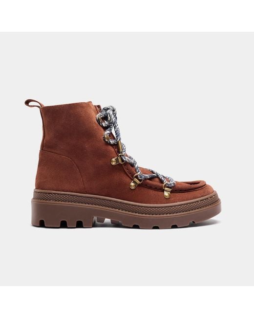 Naguisa Brown Kaus