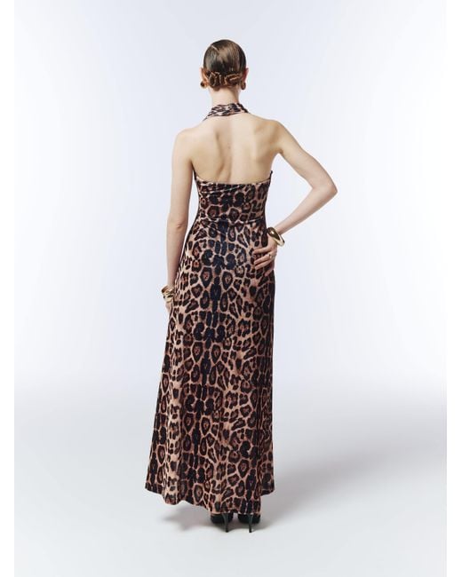 Sour Figs Brown Neutrals Button-Front Halterneck Leopard Velvet Maxi Dress