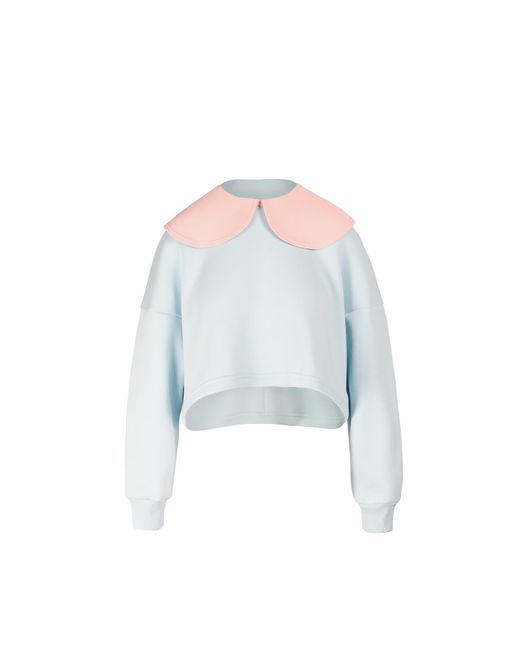 Ioana Ciolacu Blue Baby Orchid Sweatshirt