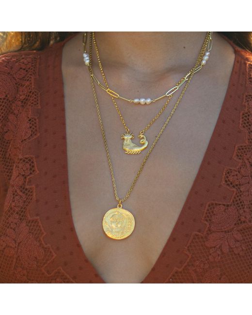Ebru Jewelry Metallic Mystic Guardian Coin Medallion Necklace
