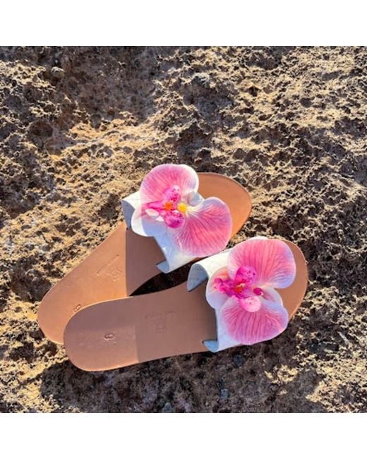 Sibylla Delphica Pink Calanthe Flat Leather Sandals