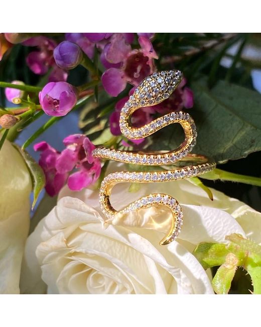 Native Gem Metallic Enchanted Snake Ring