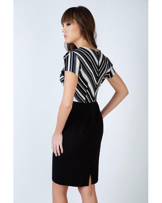 Conquista Black Stripe Detail Straight Dress