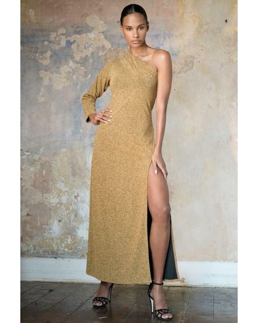 Any Old Iron Natural Shimmer Smith Dress