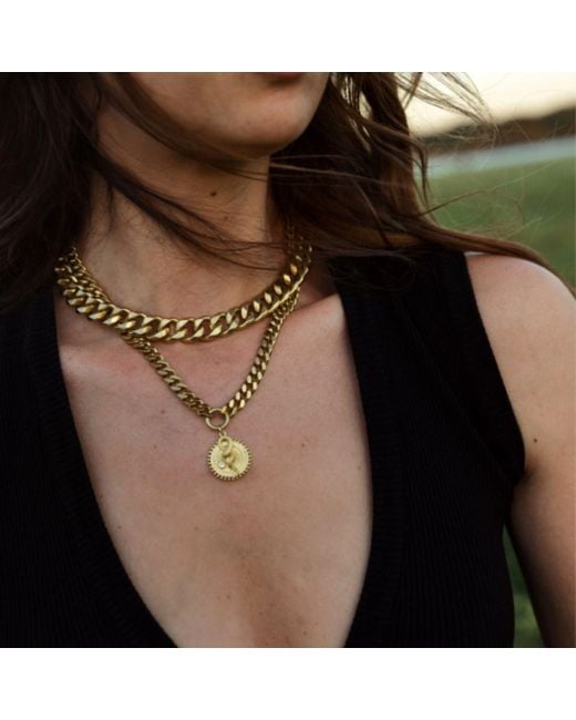 Rachel Nathan Metallic Queen Snake Curb Necklace