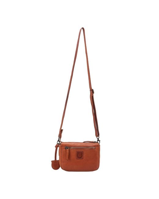 Lloyd Baker Brown Flora