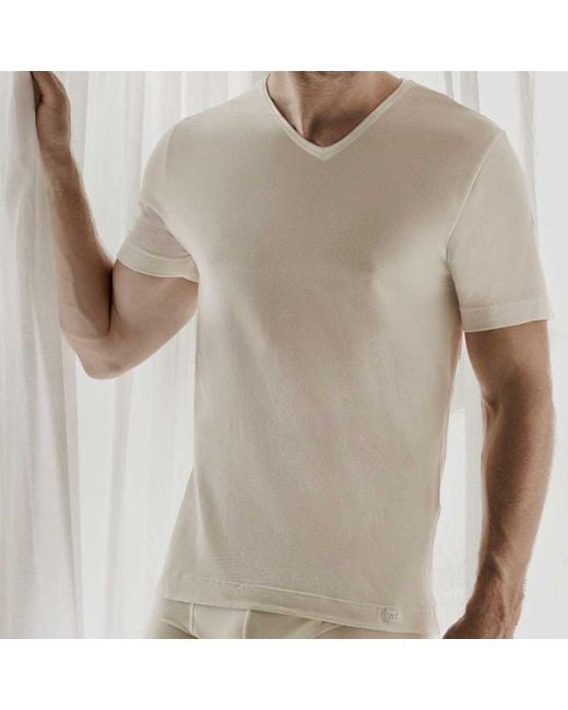 Zd - Zero Defects Gray Neutrals Ceres V-Neck T-Shirt – Ultra-Soft & Breathable Soy Fiber for men