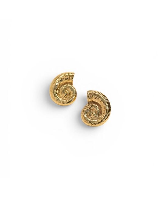 Miss Cecilia Metallic Seashell Earrings