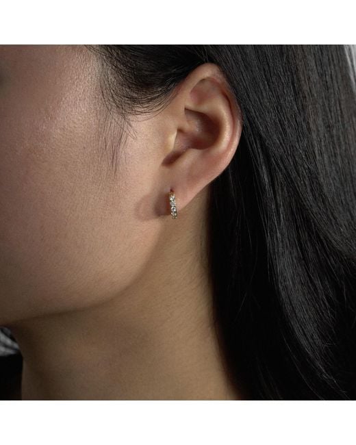 Diamonbliss Metallic Pave Hoop Earrings, Thirdteen Millimeter, Platinum