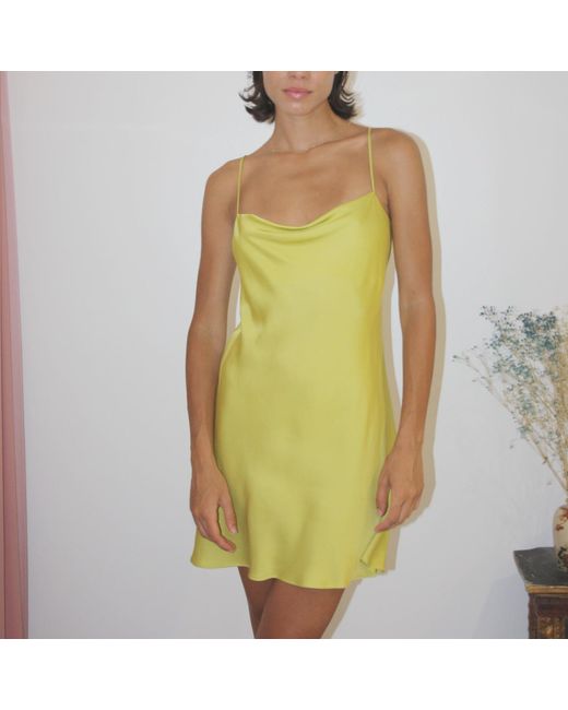 Roses Are Red Yellow Mini Slipdress