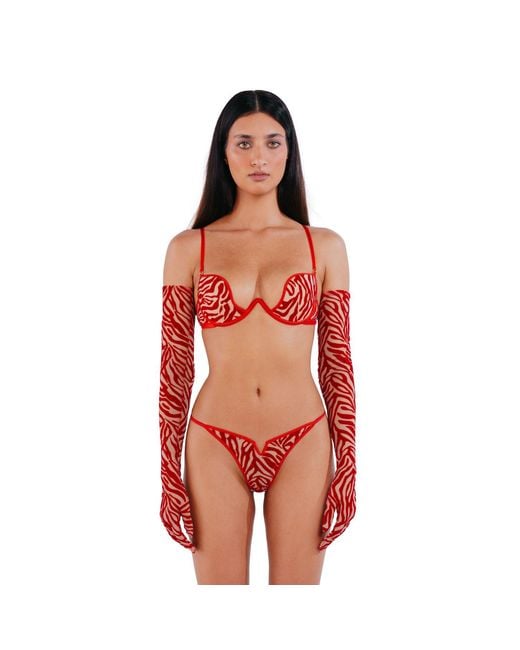 Perilla Lingerie Red Kylie Thong