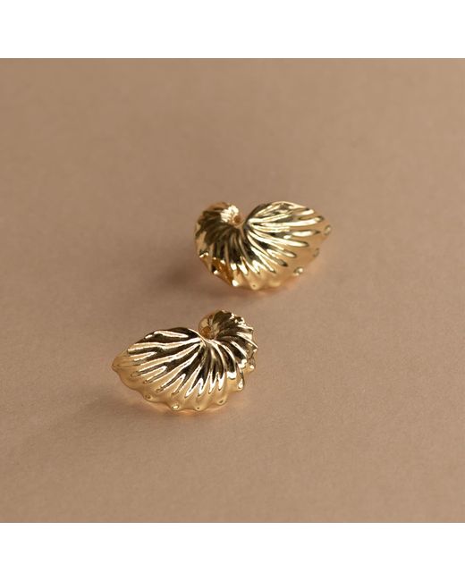Zoe & Morgan Metallic Paper Nautilus Earrings