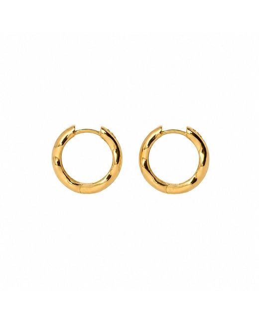 Serotonin Complice Metallic Plated Hoop Earrings
