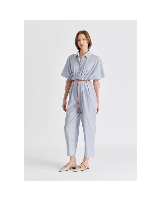 Paisie Blue Striped Jumpsuit With Waist Pleats