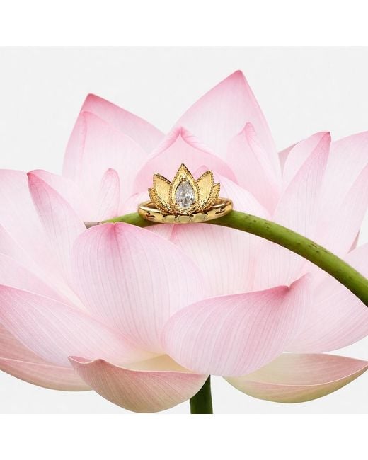 Aurozia Metallic Lotus Within Vermeil Blooming Lotus Drop Adjustable Open Ring