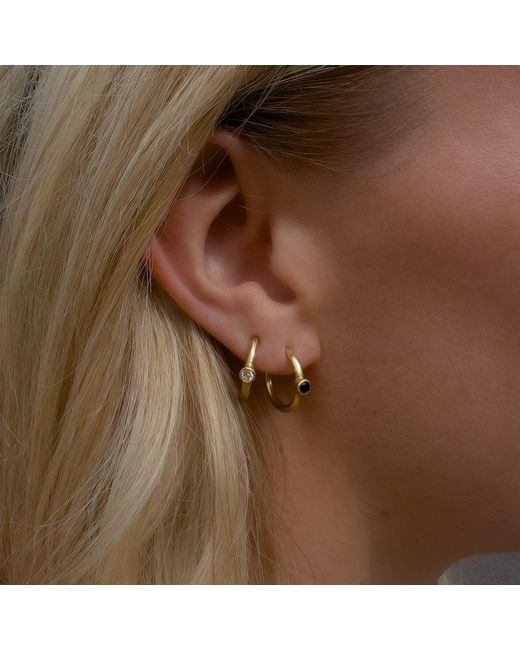 Tory Long Metallic Sapphire Hoops