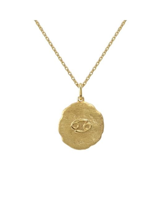 Hye Jane Jewelry Metallic Cancer Zodiac Necklace
