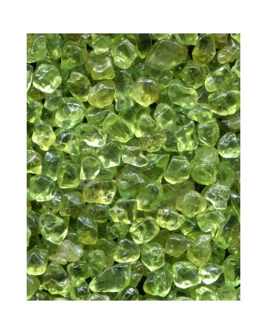 Lavani Jewels Metallic Liliana Green Earrings