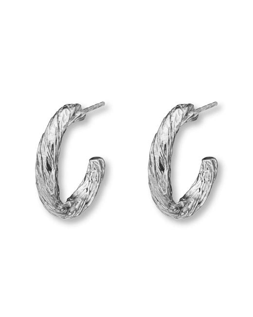 EVA REMENYI Metallic Archaic Small Hoop Earrings